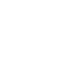Evolution Gaming logo