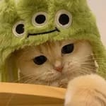 Julieta Rivera avatar